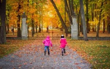 3 Options for Children During Divorce